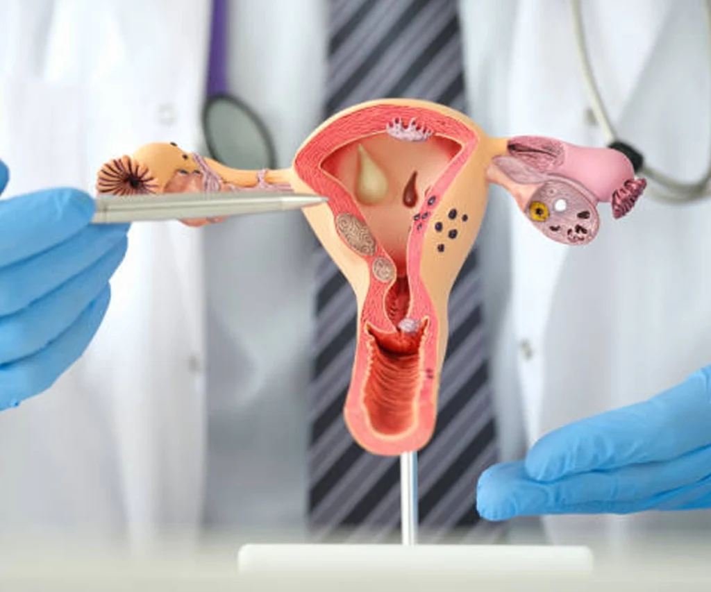 Top 10 Gynaecologists in Agra